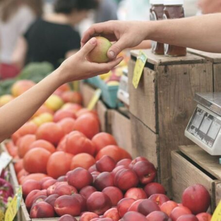 Свою деятельность в России начал маркетплейс фермерских продуктов «Доброед»