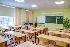 Уполномоченный по правам ребенка в Москве рассказала о новом проекте для членов управляющих советов школ