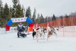 Предприниматели тоже люди: как хобби помогают сохранять здравый смысл в бизнесе